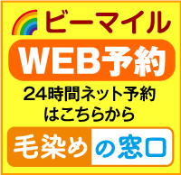 ビーマイルＷＥＢ予約
